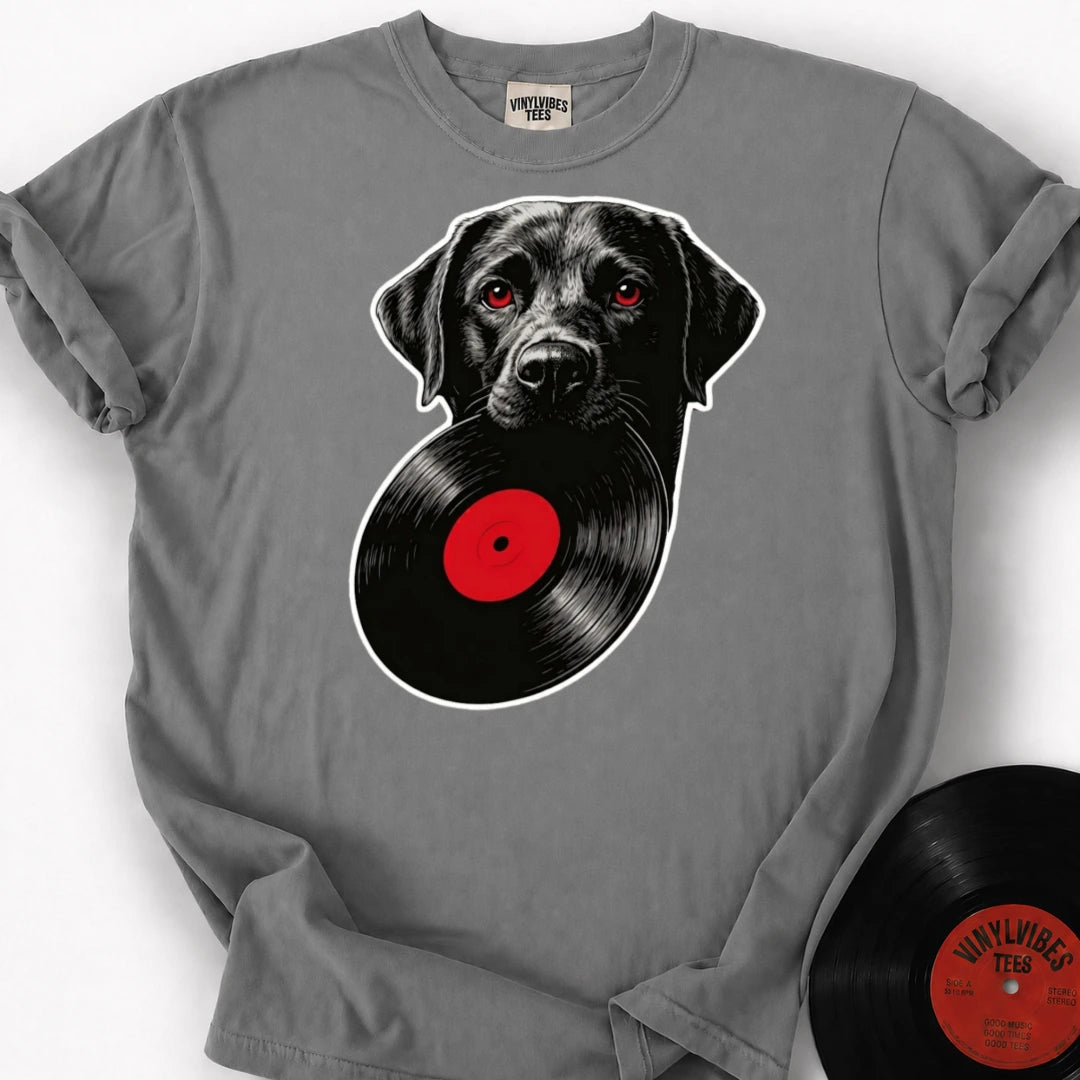Maestro mockup | b40af7d5-1997-4059-8550-a7b23e45dc75 | Granite