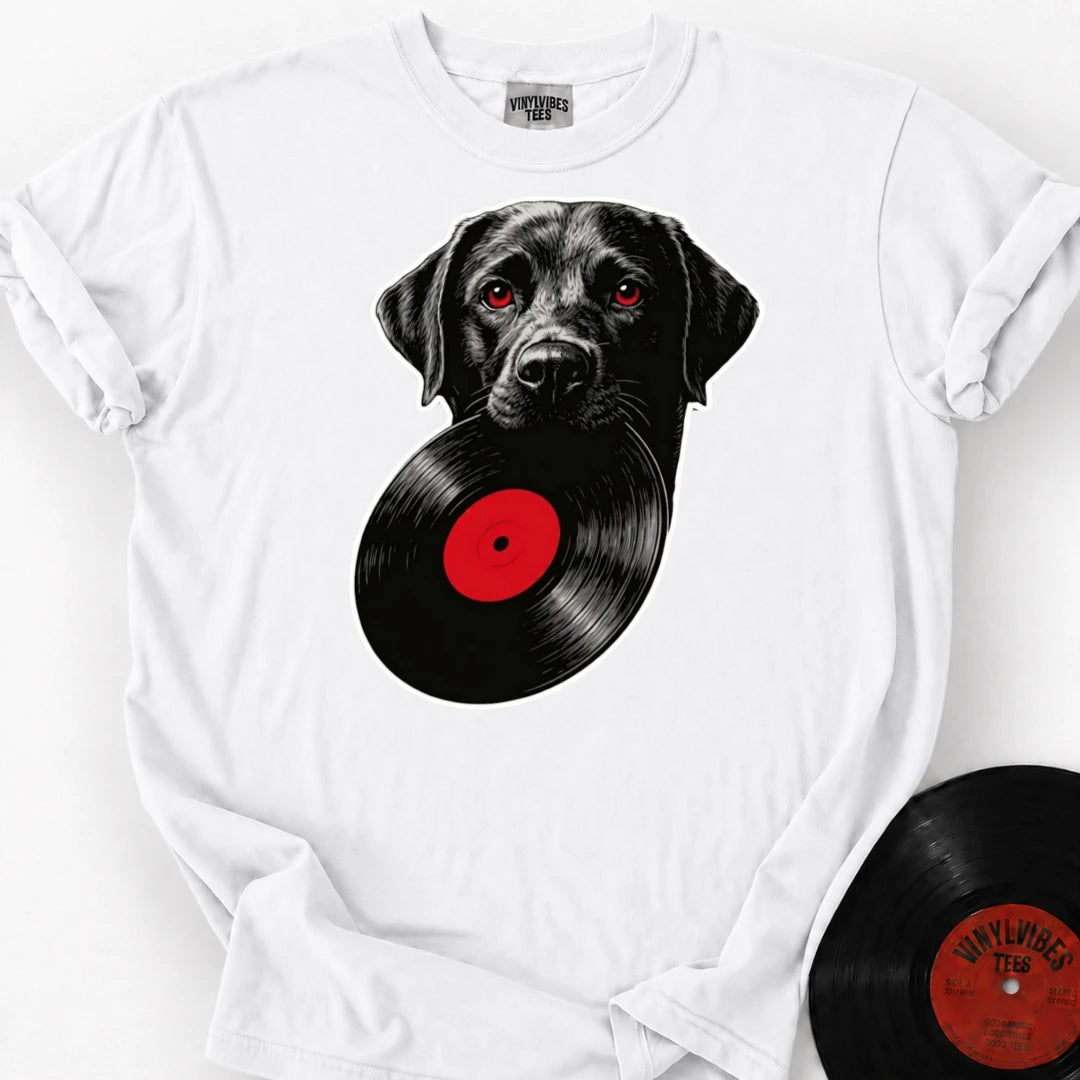 Maestro mockup | 3bfb39c7-98c3-4f36-b78d-496d6781d111 | White