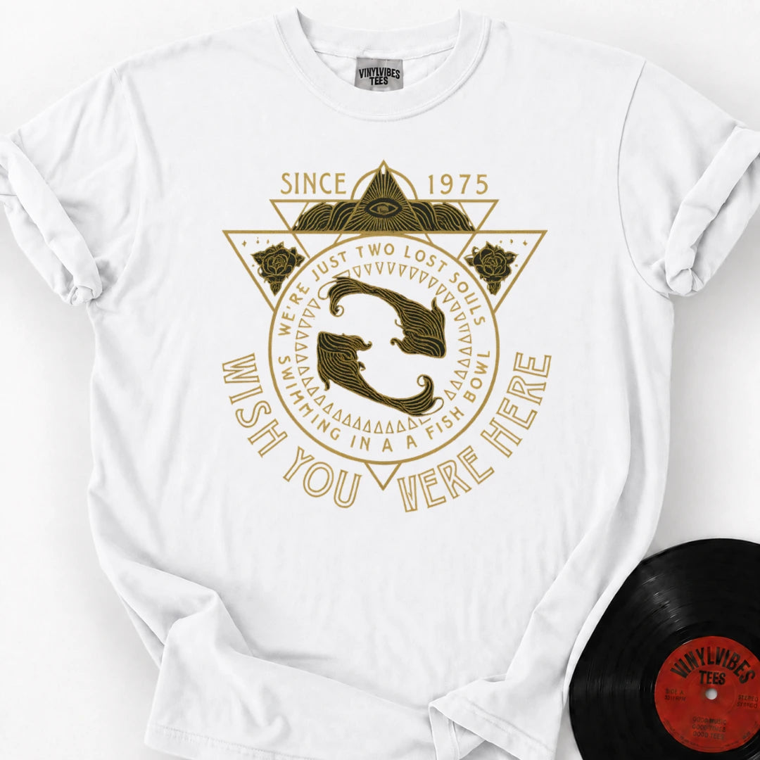 Maestro mockup | 887d8160-7585-4e5e-b8f8-c298f4ed7271 | White